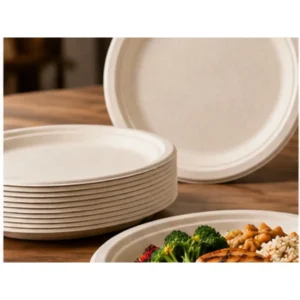 Bagasse vs PLA: Choosing Foodservice Packaging