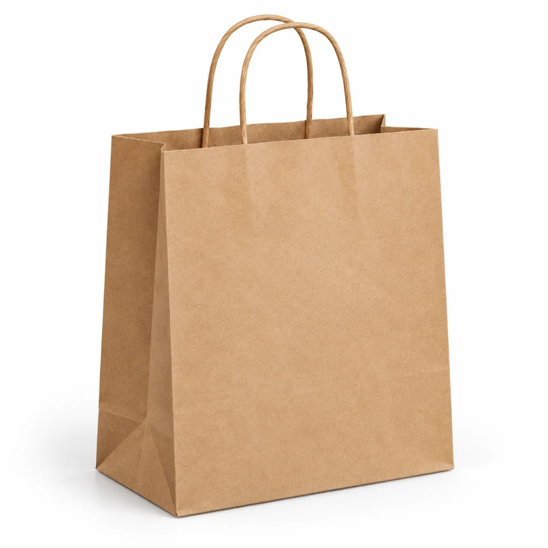 Kraft paper shopping bag with twisted paper handles
